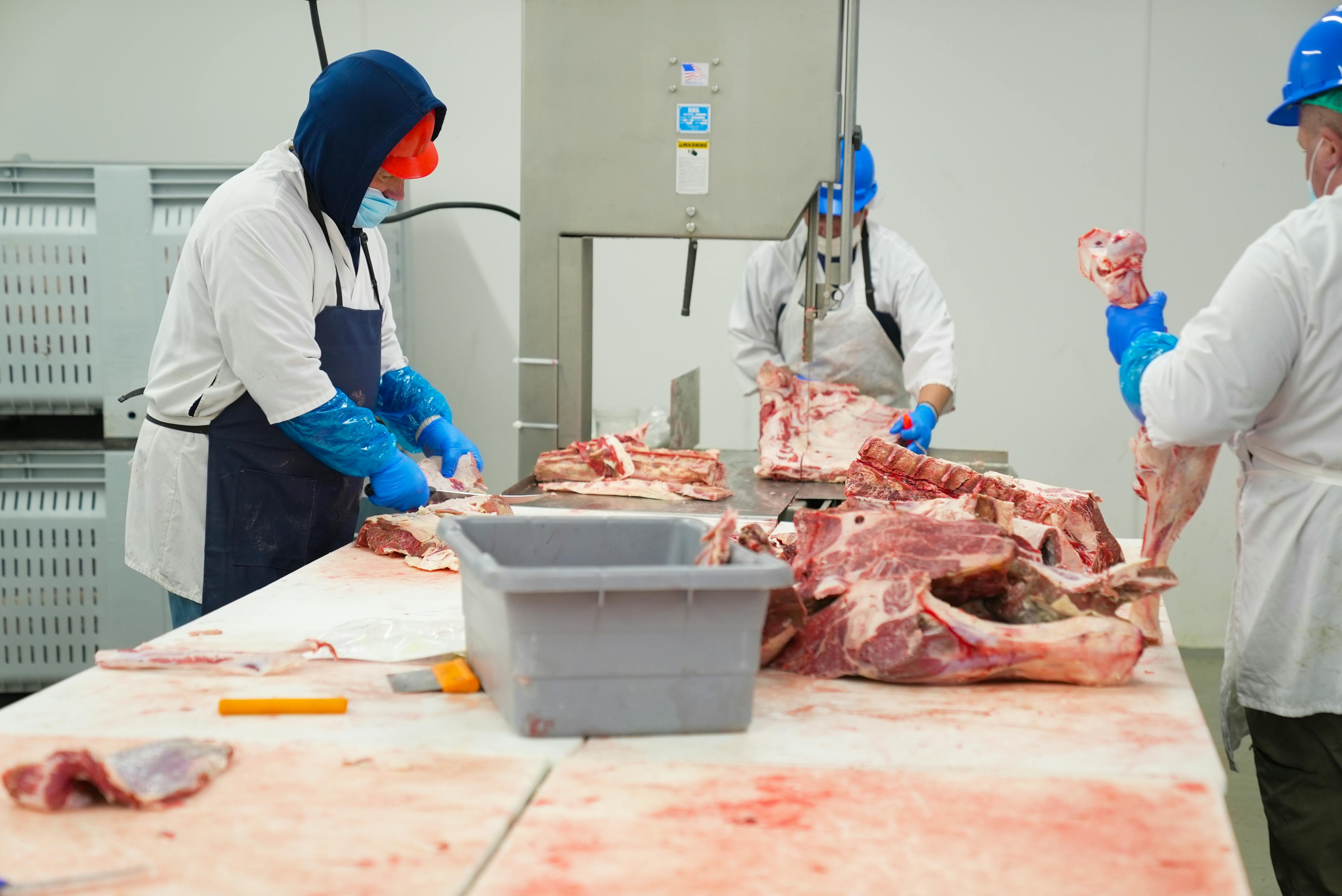 Trabalhadores em linha de produção de carne bovina
